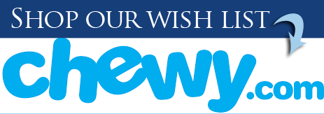 Chewy wishlist for cat rescue supplies